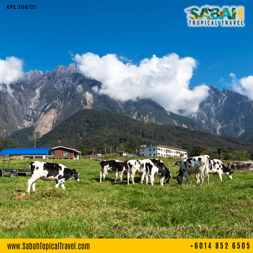 2. sabah travel kundasang ranau kota kinabalupng